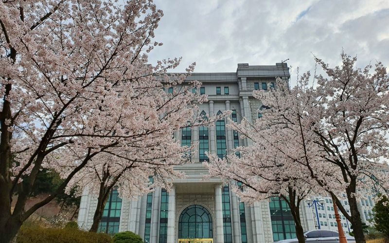 Điều kiện tuyển sinh của trường Đại học Baekseok Hàn Quốc