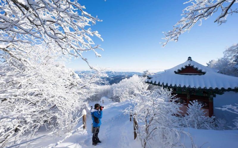 Lễ hội tuyết tại Taebaeksan Snow Festival